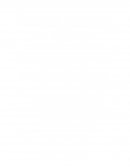 Analisis de especial y convencional de nucleos de roca