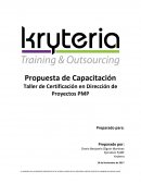 TALLER PMP ANTECEDENTES