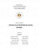 Estudio de pre-factibilidad de cortinas ignífugas