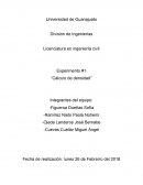 Calculi de la gravedad en una dimensión Cuevas Cuellar Miguel Ángel