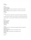 Prospectiva Examen Correcto Un organigrama que sitúa a la organización en el contexto de su entorno externo