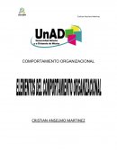 COMPORTAMIENTO ORGANIZACIONAL CRISTIAN ANSELMO MARTINEZ