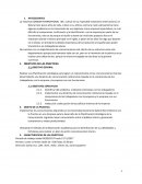 Proyecto comunicacional Condor International ANTECEDENTES