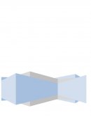 Nuestra empresa decidió desde la creación de la ley 19300, el estar a la altura de las exigencias que el mercado del salmón estaba exigiendo, para lo cual debimos cumplir los requisitos que esta ley exigía, los que fueron por ejemplo: Proyecto normati