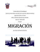 La migracion. ¿Qué es la migración?