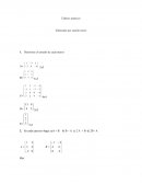 Talleres matrices