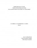 Una mirada a la caverna República Bolivariana de Venezuela.