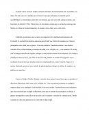 Cuando vamos a buscar empleo siempre utilizamos las herramientas más accesibles a la mano