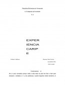 Trabajo alimentacion