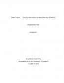 CÁLCULO APLICADO A LA INDUSTRIA DEL PETRÓLEO