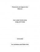 Presentación de trabajo de ética