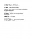 REPORTE CRITICO LA PEDAGOGIA SEGUN SUS CAMPOS DISCIPLINARIOS