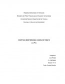 CONFITURA MEDITERRANEA CASERA DE TOMATE