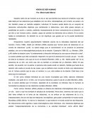 Vision del ser humano