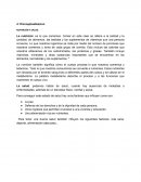 Educacion familia y nutricion Conceptualizacion