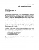 Sabedores de que la cultura y la educación física