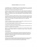 Urbanización Inteligente: grandes oportunidades