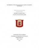 PROGRAMA DE INGENIERIA DE PETROLEOS