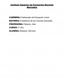 PROYECTO: “Las planta del jardín.”