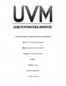 ¿Qué tipo de empresa consideras que es Amazon?