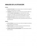 ENSAYO ANALISIS DE LA SITUACION