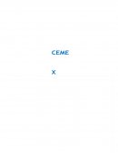 ANÁLISIS DE CASO: CEMEX