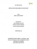 COLABORATIVO 1 CULTURA POLITICA