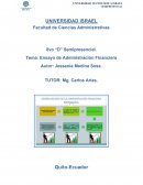 Ensayo Análisis Financiero Tema: Ensayo de Administración Financiera