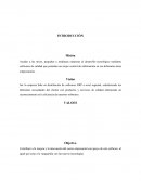 EJEMPLO DE PLAN ESTRATÉGICO Y PLAN DE ACCIÓN DE MERCADOTECNIA