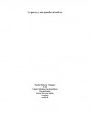 La pereza y sus grandes atractivos