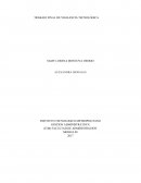 TRABAJO FINAL DE VIGILANCIA TECNOLÓGICA