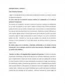 Actividad Practica – Semana 3 Caso: Derechos Humanos