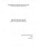 PIA PREVENCIÓN DEL DELITO