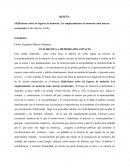 ANÁLISIS DE LA MEMORIA DEL ESPACIO