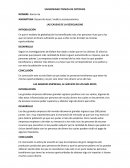 LAS CAUSAS DE LA DESIGUALDAD