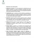 Aplicación del Modelo de Katz y Kahn