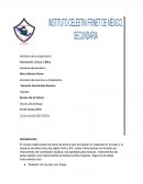 Formación Cívica y Ética. Museo de la tortura