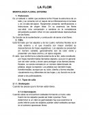 Morfologia de la flor