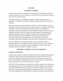 RESUMEN ASIMETRIA CEREBRAL