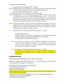 Análisis de caso virgin mobil