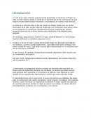 Introducción La vida es un gran misterio. Las decisiones personales y colectivas confluyen en cada uno de nosotros