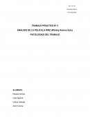 Analisis de pelicula WRZ