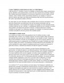 CARACTERÍSTICAS REGIONALES DE LAS VÉRTEBRAS