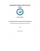 INVESTIGACION SOCIAL - CONTAMINACION RIO OZAMA