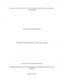 PROGRAMA ESPECIALIZACIÓN DE PSICOLOGIA ORGANIZACIONAL Y DEL TRABAJO