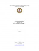 Puertorriqueños no ajustan sus gastos a la realidad económica