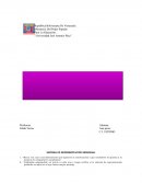 SISTEMA DE REPRESENTACIÓN SENSORIAL