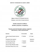 Impacto social del desempleo (pobreza, migración, delincuencia, y otras consecuencias)