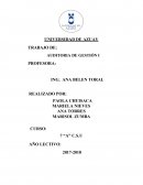 AUDITORIA DE GESTIÓN I