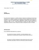 Redaccion de un informe final